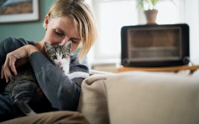 5 Strategies to Cope with Your Pet’s Anxiety