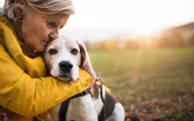 Embracing Compassion: The Ultimate Gesture in Senior Pet Adoption